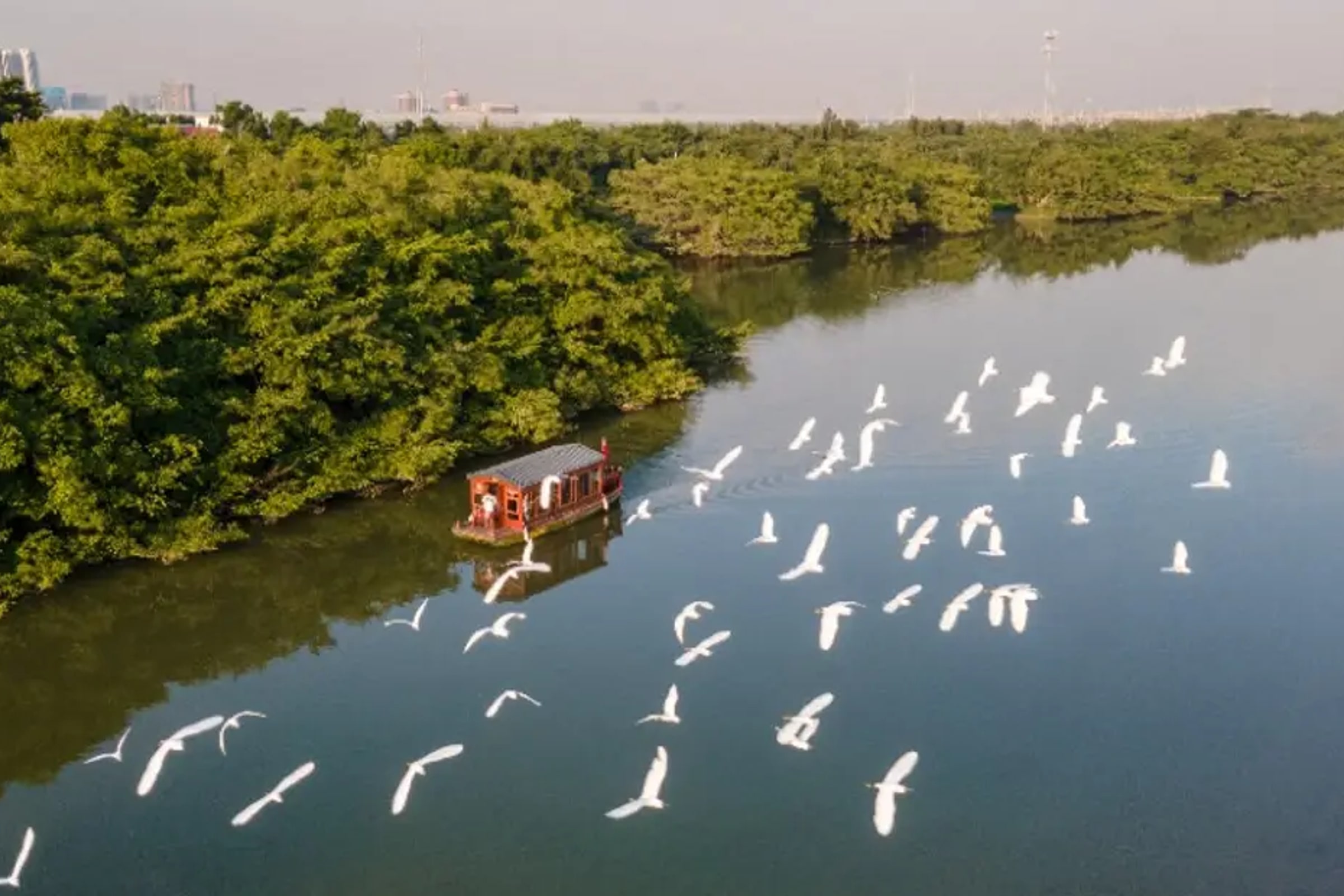 Private Day Tour to Xinhui Bird Paradise and Xinhui Academy from Guangzhou